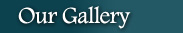 Our Gallery
